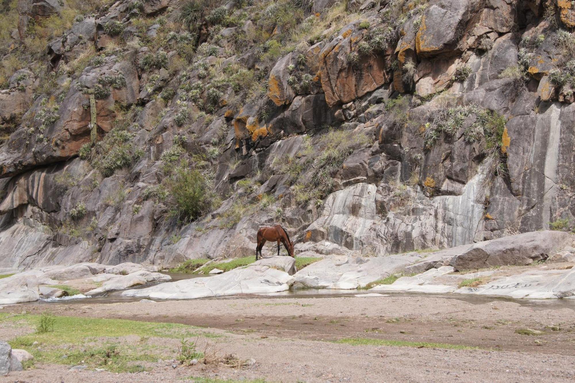 Altos Del Valle San Agustín de Valle Fértil Екстериор снимка