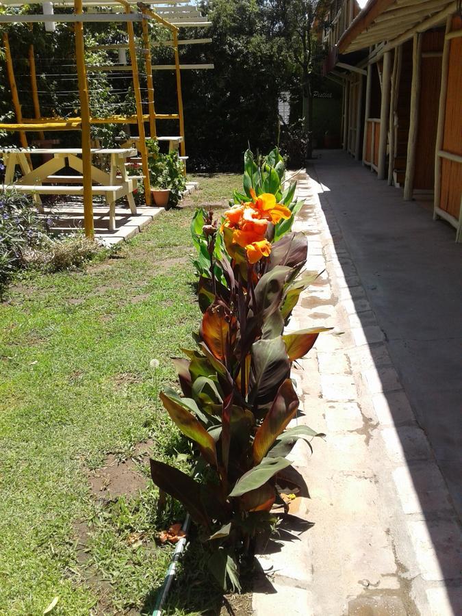 Altos Del Valle San Agustín de Valle Fértil Екстериор снимка
